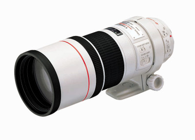 Canon EF 300Mm F/4.0L IS USM